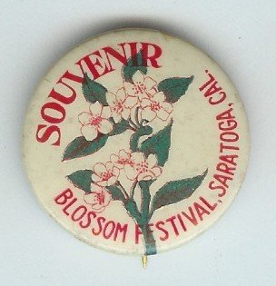 ANTIQUE 1910 SARATOGA CALIFORNIA BLOSSOM