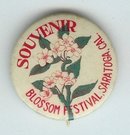 ANTIQUE 1910 SARATOGA CALIFORNIA BLOSSOM