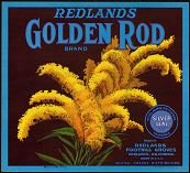 Golden Rod Orange Citrus Crate Label