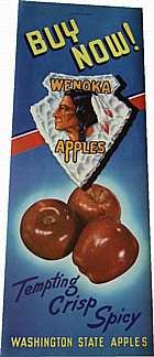 Wenoka Apple Grocery Sign Poster
