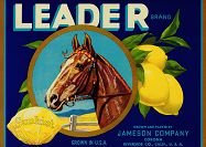 Leader Lemon Citrus Crate Label