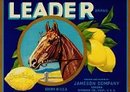Leader Lemon Citrus Crate Label