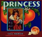 VINTAGE 1939 PRINCESS SUNKIST ORANGE CRATE LABEL / citrus fruit