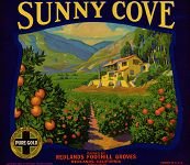VINTAGE 1931 SUNNY COVE REDLANDS CA ORANGE CITRUS CRATE LABEL