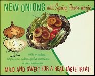 Vintage ONIONS SPRING GROCERY Store Sign vegetable onio