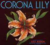 Vintage CORONA LILY ORANGE CITRUS Crate label