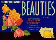 Southland Beauties Sunkist Citrus Crate Label