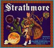 Strathmore Sunkist Orange Citrus Crate Label