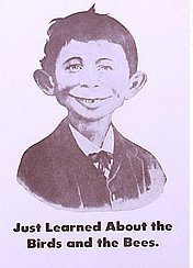VINTAGE ALFRED E. NEWMAN MAD MAGAZINE SIGN