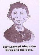 VINTAGE ALFRED E. NEWMAN MAD MAGAZINE SIGN