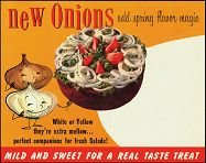 VINTAGE BROWN ONION VEGETABLE GROCERY STORE