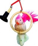 Japan Celluloid Suction Cup Parrot Toy
