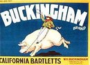 Buckingham Citrus Crate label