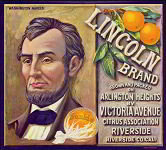 Lincoln Sunkist Citrus Crate Label