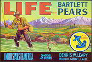 Life Bartlett Pears Fruit Crate Label