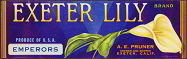 Exeter Lily Grape Crate Label