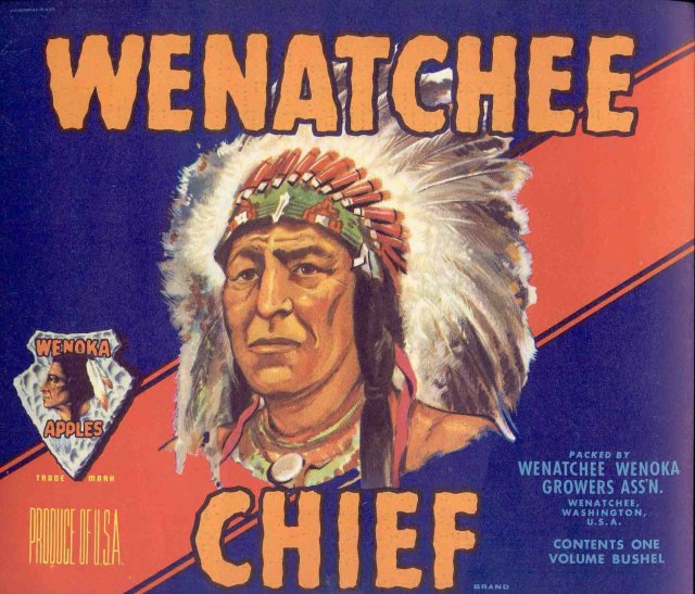 VINTAGE WENATCHEE CHIEF INDIAN CITRUS CRATE