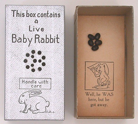 Toy Live Rabbit Joke Box Novelty Toy