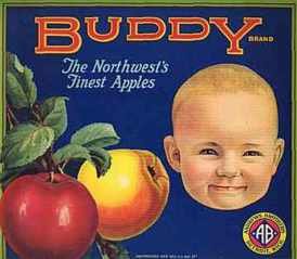 VINTAGE BUDDY APPLE CRATE BABY LABEL
