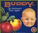 VINTAGE BUDDY APPLE CRATE BABY LABEL