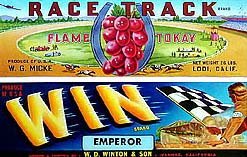 4 VINTAGE AUTO CAR GRAPE CRATE LABELS