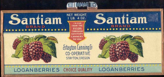 Vintage FRAMED SANTIAM GRAPE Loganberries Can
