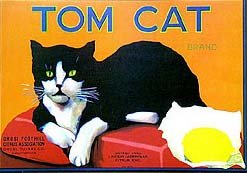 Tom Cat Citrus Crate Labels