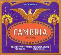 Cambria Orange Citrus Crate Label