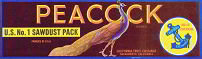PEACOCK GRAPE CRATE LABEL / VINTAGE CITRUS