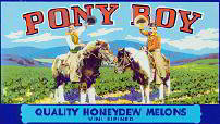Pony Boy Honeydew Label