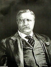 Theodore Roosevelt Art Print - Portrait