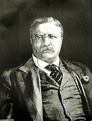 Theodore Roosevelt Art Print - Portrait
