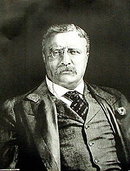 Theodore Roosevelt Art Print - Portrait