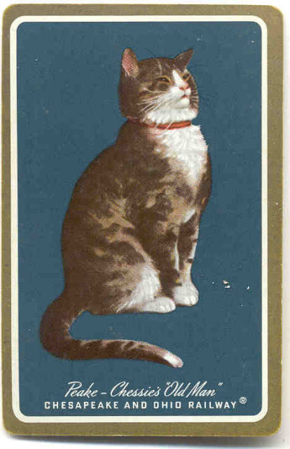 Chessie Cat Railroad Playing Card