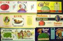 Indian Can Labels - 1938 Lot