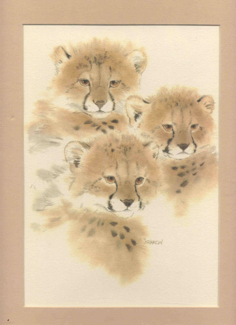 Lion Cubs Matted Art Sharon