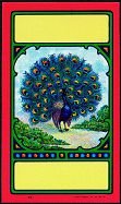 Peacock Broom Labels