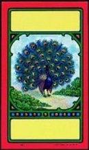Peacock Broom Labels