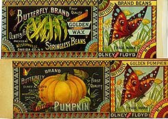 Olney & Floyd Butterfly Brand Labels 1890s