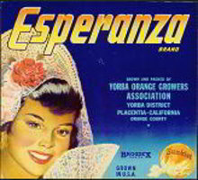 Esperanza Sunkist Orange Citrus Crate Label
