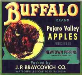 Buffalo Apple Crate Label