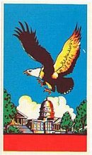 Eagle Broom Labels 1940s