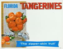 Florida Tangerine Sign - 1950s