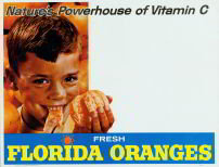 Vintage Florida Oranges Sign 1950s