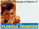 Vintage Florida Oranges Sign 1950s