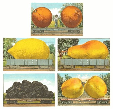Fruit Postcards 1910s