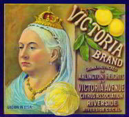 Victoria Brand Grapefruit Citrus Crate Label