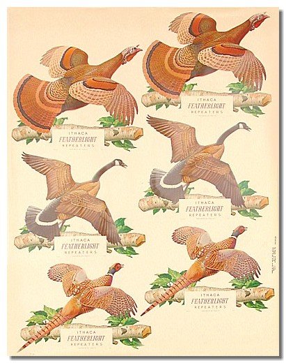 Gamebirds Store Poster Ithaca Repeaters 1956