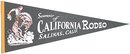 Rodeo Felt Pennants California 1970s