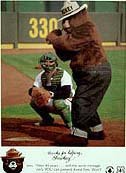 Smokey the Bear Baseball Card 1984
